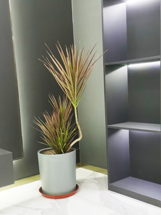 �����̻�ֲ������